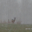 21.1.14, zima p�ece jen p�i�la - sn�� a za��n� mrznout