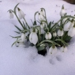18.2.16, zima se na chv�li vr�tila