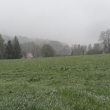 3.5. 2011 p�l dev�t� r�no