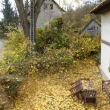 T�den jsme ukl�zeli v�tve a list�...