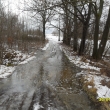 Sn�h rychle taje