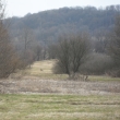 Pohled od Zaje��ku 15.3.2011