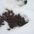 15.2.2015 jelen� trus na Kamenci