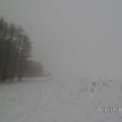 8.12.13 sn�h a mlha