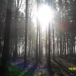 16.3.12, Farsk� les r�no
