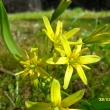 k�ivatec, 28.3.12