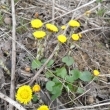 Podb�l 27.3.2011