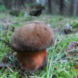 H�ib kov��