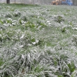 3.5. 2011 p�l 9 r�no