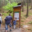 Za��tek v�stupu na Prav�ickou br�nu, 12.6.2011