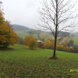 Na �pat� Str�n�ho 27.10.11
