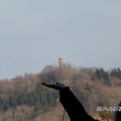 Pohled na Str�n� vrch s rozhlednou z vrcholu Zaje��ho vrchu 22.2.2014