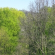 Rozhledna na Str�n�m, 24.4.2011