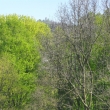 Rozhledna na Strnm, 24.4.2011