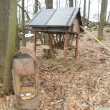 Krmelec na Kamenci, 8.2.2011 (v pop�ed� je vid�t liz pro srnky)