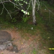 St�le jsou poznat m�sta, kde se dolovalo, les nad Merbolticemi, srpen 2013