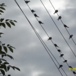 Vla�tovky n�s b�hem n�kolika dn� opust�