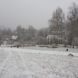 28.11.2015 jedin� sn�h