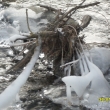 30.1.12, Merboltick� potok