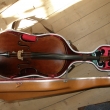 Violoncello od Strfana Storcha z Mertendorfu.