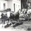 Emilie Rosler, Josef Rosler, Marie Blumtritt, Josef Rosler jun., Anna Klein