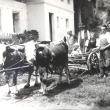Emilie R�osler, Josef R�osler, Marie Blumtritt, Josef R�osler jun., Anna Klein