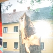 L�pa p�ed obecn� ��adem, kterou zlomil v�tr