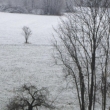 13.11.17 rno le snh, odpoledne roztl a blo je jen na okolnch kopcch