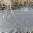 4.3.12, 9.00 hod., i kdy� se hl�s� jaro, r�no jsou mraz�ky