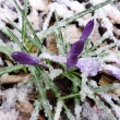 24.3.14 p�i�lo prudk� ochlazen� a na p�l dne napadl sn�h, kter� na od 500 m n.m. z�stal le�et