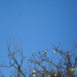 13.11.2011 modr� obloha