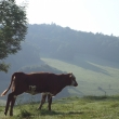 5.9.14 v pozad� Str�n� vrch s rozhlednou