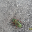 18.6.13, st�evl�k