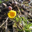 16.3.12, podb�l