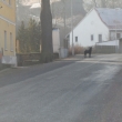 Velc� psi pob�haj� voln� po vsi, hon� a trhaj� srnky (27.2.2011)