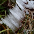 namrzaj�c� mlha 14.12.13