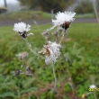 R�no 22.10.11