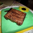 16.4.16 vnu�ka upekla Ir�e dort (s paletou :-)
