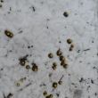 20.3.13, prvn� jarn� den