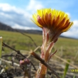 13.4.13 kone�n� jaro  - podb�l
