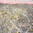 17.3.13, jaro se bl���
