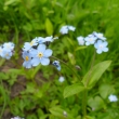 Pomn�nky 30.4.2011