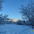 Zima letos p�i�la brzy, 1.12.12.    -9