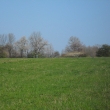 Kvetou trnky a t�e�n�, 19.4.2011