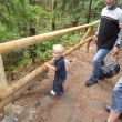 Mal� turista Tom�ek, cesta na Prav�ickou br�nu, 12.6.2011