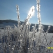 9.2.13, znovu le�� sn�h a dnes bylo -10