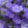 2.7.13, n�dhern� l�to....