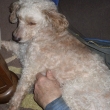 R�zinka s p�n��kem 3.2.2015, m�s�c u n�s