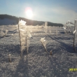 26.1.2012, r�no 9.00 hod.,  - 12 st.
