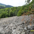 Kamenec, kamenn� sut�